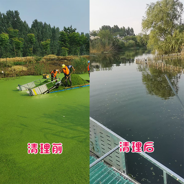 江蘇省常州市新北區河道浮萍清理效果展示